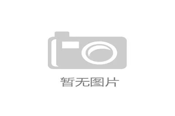蒂亚戈·席尔瓦与范戴克：中卫结构从单点锚定转向体系协同